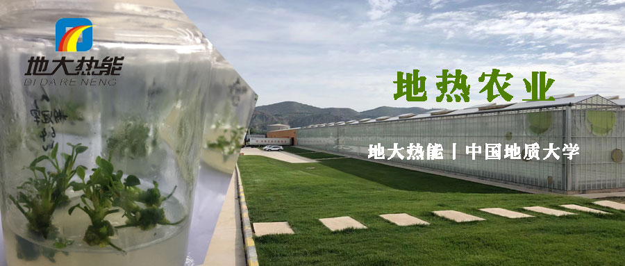 地大熱能-專業地熱農業開發利用 地大熱能-專業地熱農業開發利用
